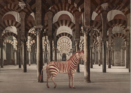 Jornada de actualización de teragnosis en tne