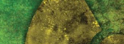 Curso de supervisor de intalaciones radiactivas